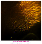 DS4_6158