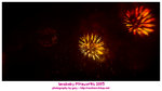 DS4_6192