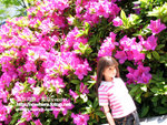 sIMG_2028