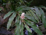 照片 051