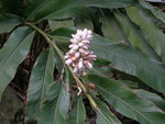 照片 052