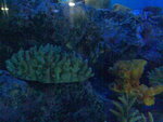 圖像138
