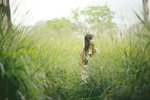 IMG_0118