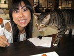 Cat Cafe + Habour City 027