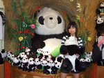 2008 1(Jan) Ocean Park with Yoy 142