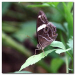IMG_0707 copy