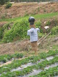 成功嶺