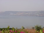 遠眺Tiberias (使徒彼得打魚的地方)
