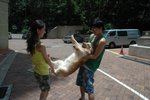 DSC_0015-s