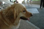 DSC_0034-s