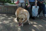DSC_0061-s
