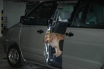 DSC_0102-s