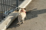 DSC_3562_resize