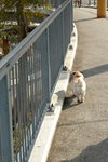 DSC_3564_resize