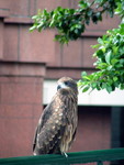 PICT0663(700)