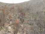 山火肆虐的痕跡再現
