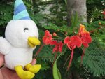 唔知做乜,成日要同花花合照