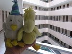 第二日下午,火速check in Sutera
