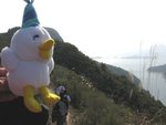 姑時都是第一次出席元旦大遊行