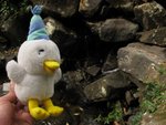 途經幾條溪流