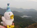 個水塘好面善