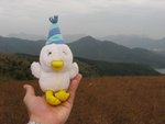 我認得佢,我上過去lu