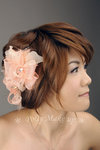 hair6