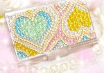 cardcase