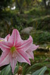 IMGP0361