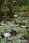 IMGP0364