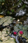 IMGP0369