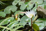 IMGP0378