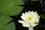 IMGP0388