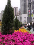 DSCN2747