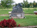 A Lazing Nandi ...