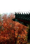 IMG_0201-2