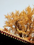 IMG_0303-1
