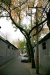 IMG_0369