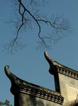 IMG_5442