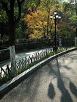 IMG_5625