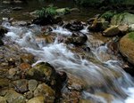 IMG_5924