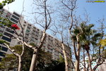 P1030277