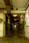 P1030295