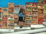 SAM_9047