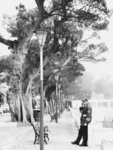 塵 世 美。