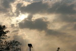 IMG_5914