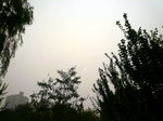 P1020269
