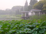 P1020282