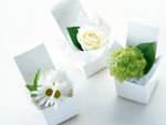 1600flowers_1015