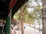 P1020626